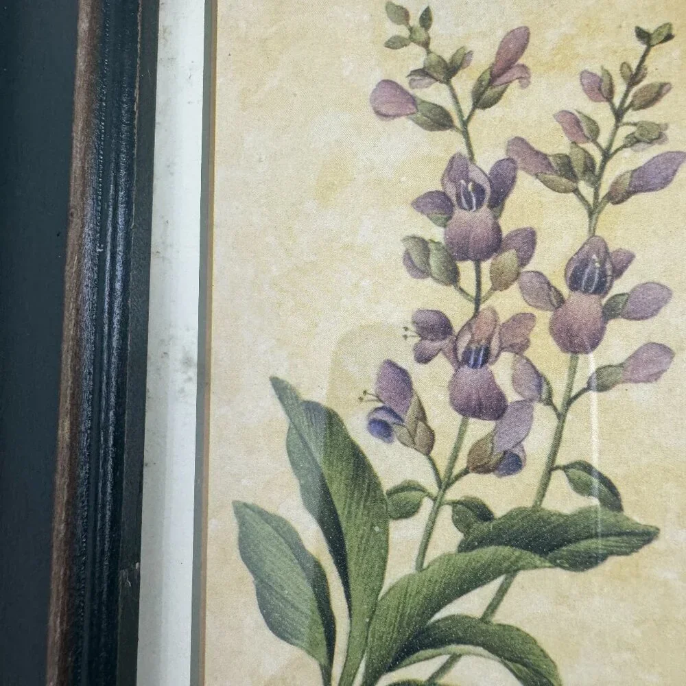 Vintage Country Style Picture Featuring Herbs Wall Decor Set of 2 Botanical ART